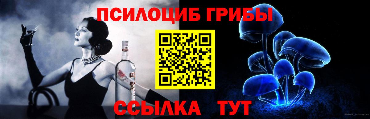 Псилоцибиновые грибы Psilocybe  Вход с VPN  Тольятти  Псилоцибиновые грибы Psilocybine cubensis 